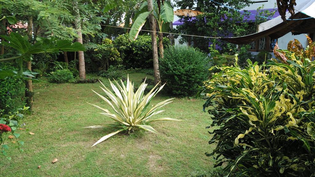 Bed and Breakfast Arabian Soul à Varkala Extérieur photo